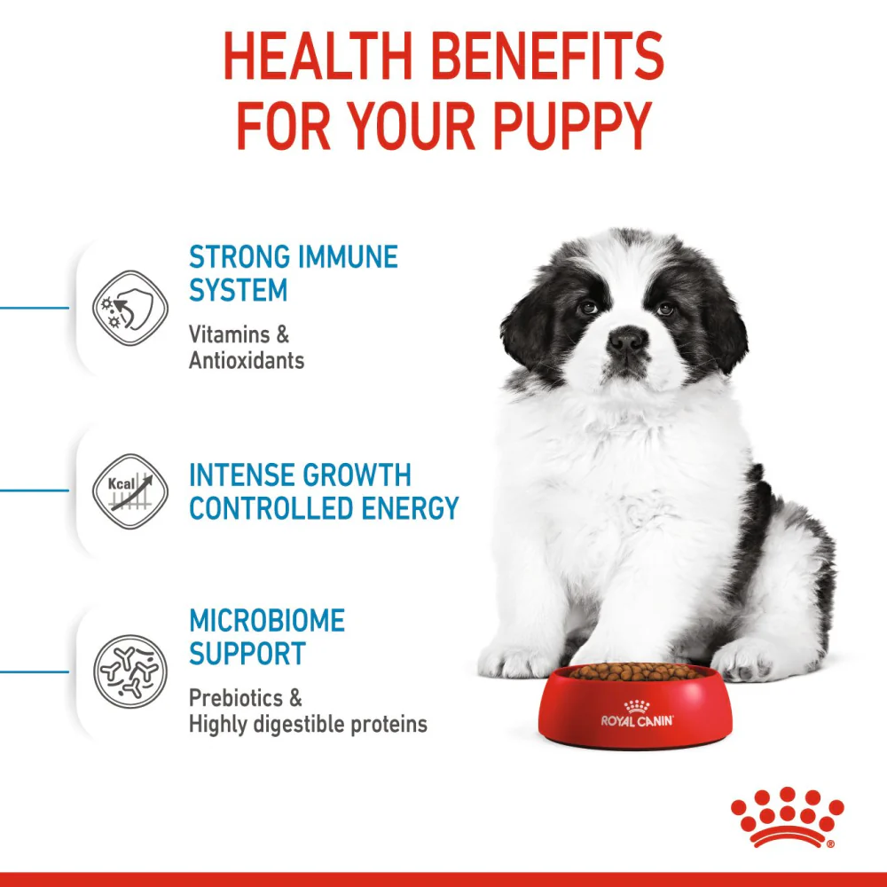 Royal Canin Giant Puppy Dry Food and Maxi Puppy Dog Wet Food Combo - Image 6