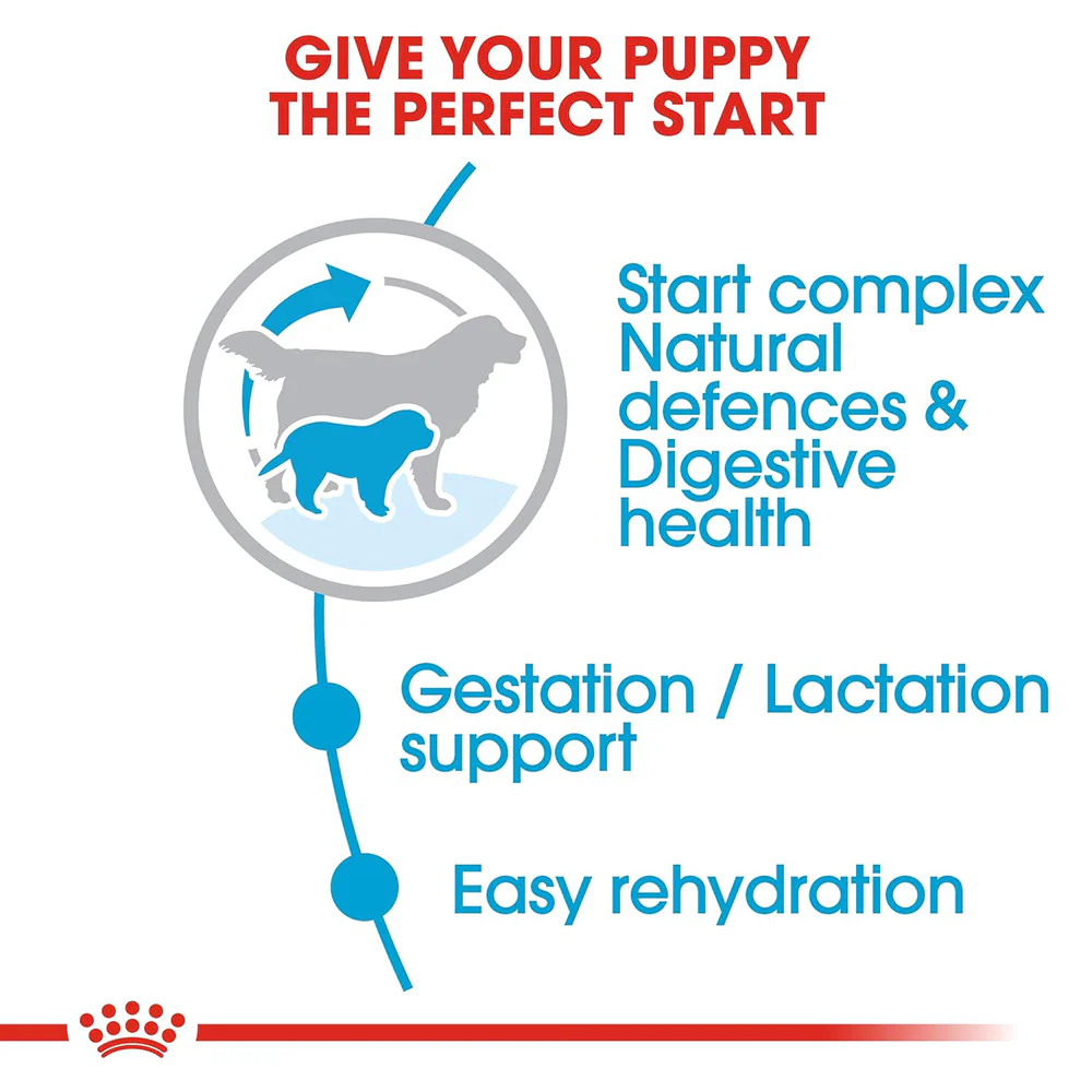 Royal Canin Royal Canin Giant Starter, Mother & Babydog Dog Dry Food - Image 2