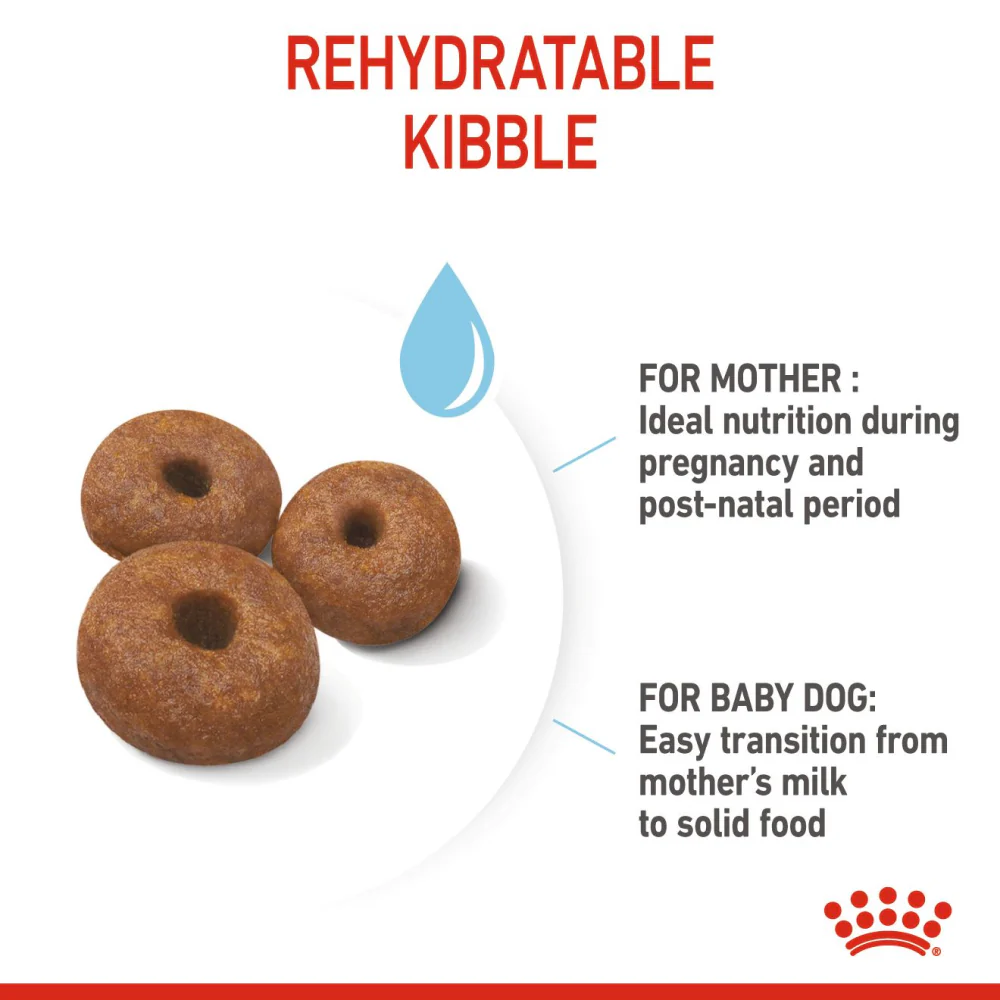 Royal Canin Giant Breed Dog and Puppies Starter Dog Dry Food - Image 3