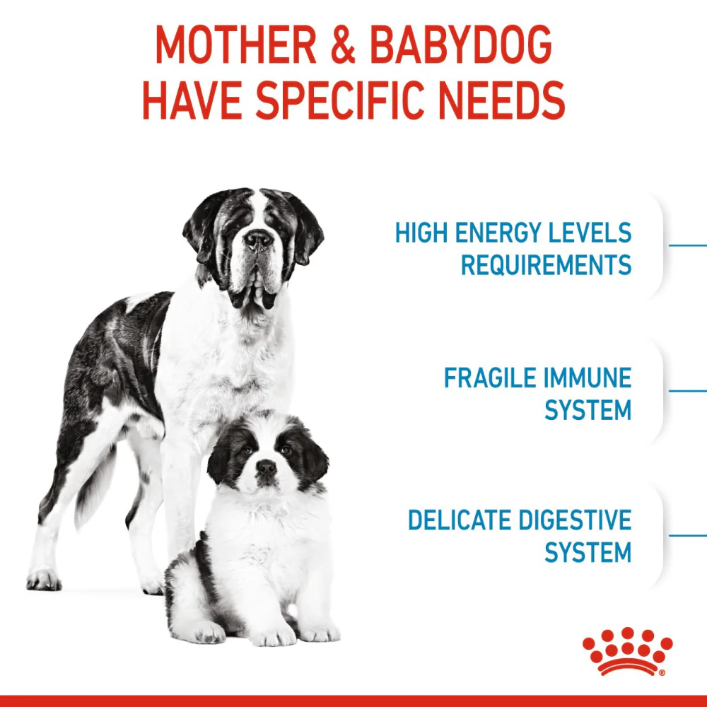 Royal Canin Giant Breed Dog and Puppies Starter Dog Dry Food - Image 4