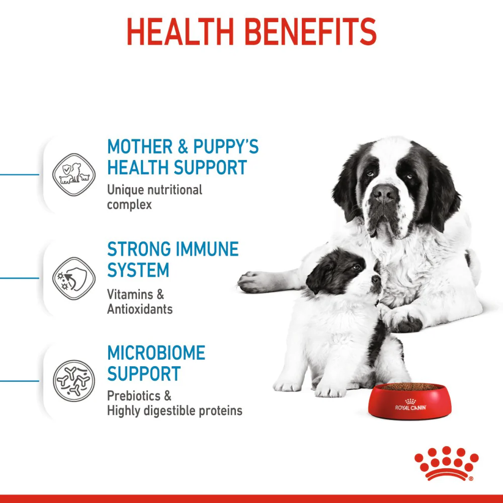 Royal Canin Giant Breed Dog and Puppies Starter Dog Dry Food - Image 5