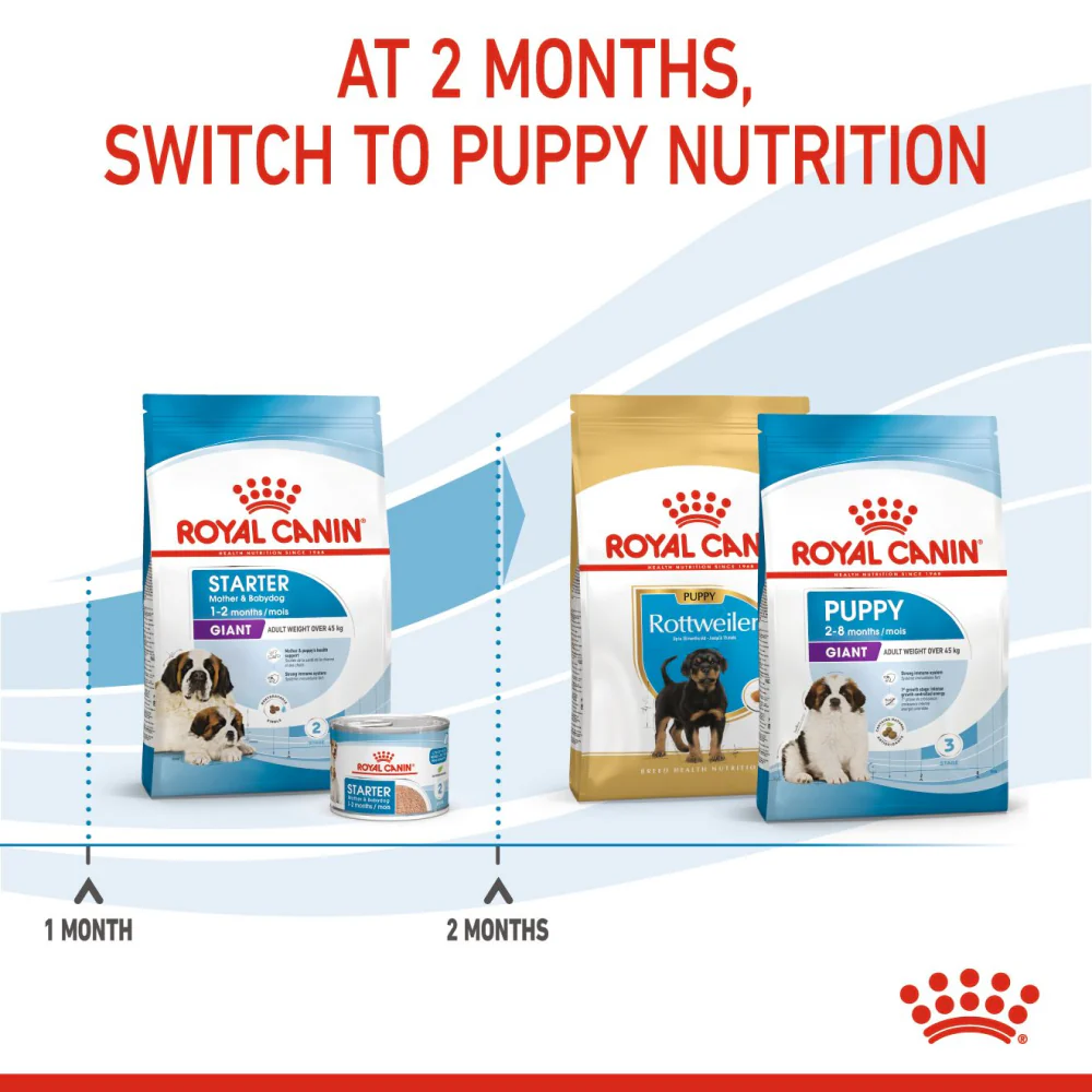 Royal Canin Giant Breed Dog and Puppies Starter Dog Dry Food - Image 8