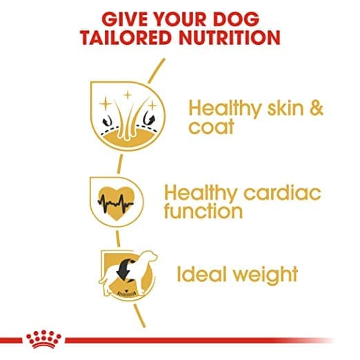 Royal Canin Golden Retriver Adult Dog Dry Food - Image 2
