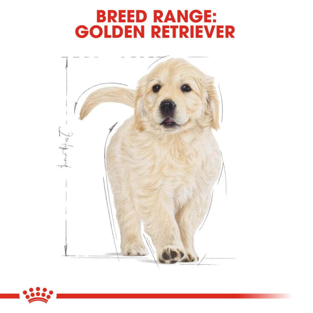 Royal Canin Golden Retriever Puppy Dog Dry Food - Image 8