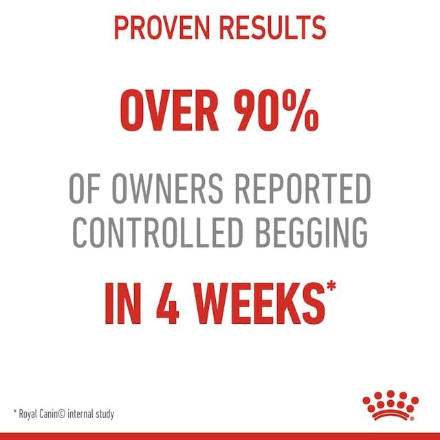 Royal Canin Skin & Hair Care for Adult Cats Dry Food - Image 3