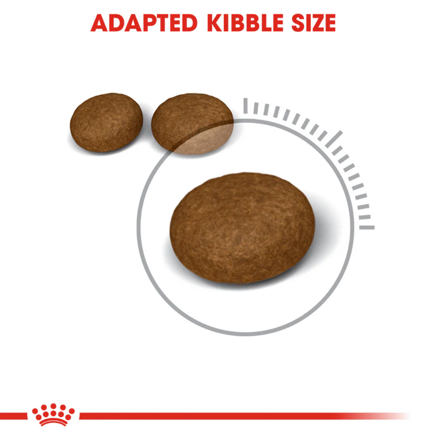 Royal Canin Skin & Hair Care for Adult Cats Dry Food - Image 5