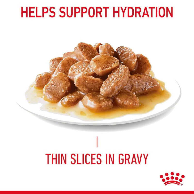 Royal Canin Hair & Skin Care Adult Gravy Cat Wet Food - Image 5
