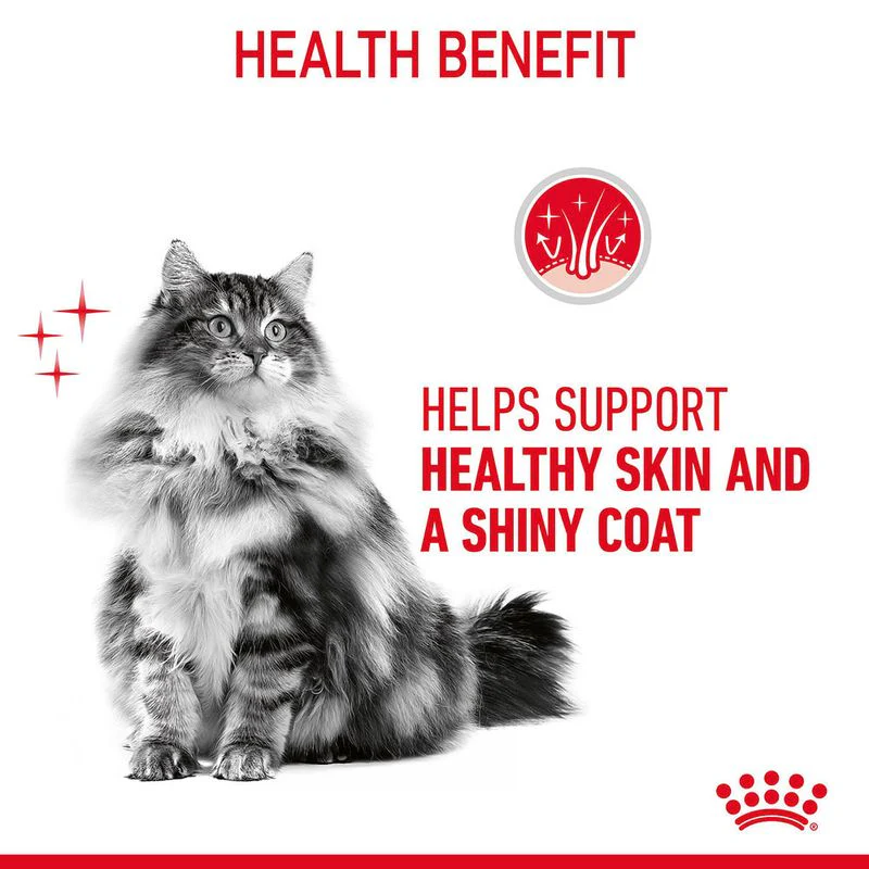 Royal Canin Hair & Skin Care Adult Gravy Cat Wet Food - Image 8
