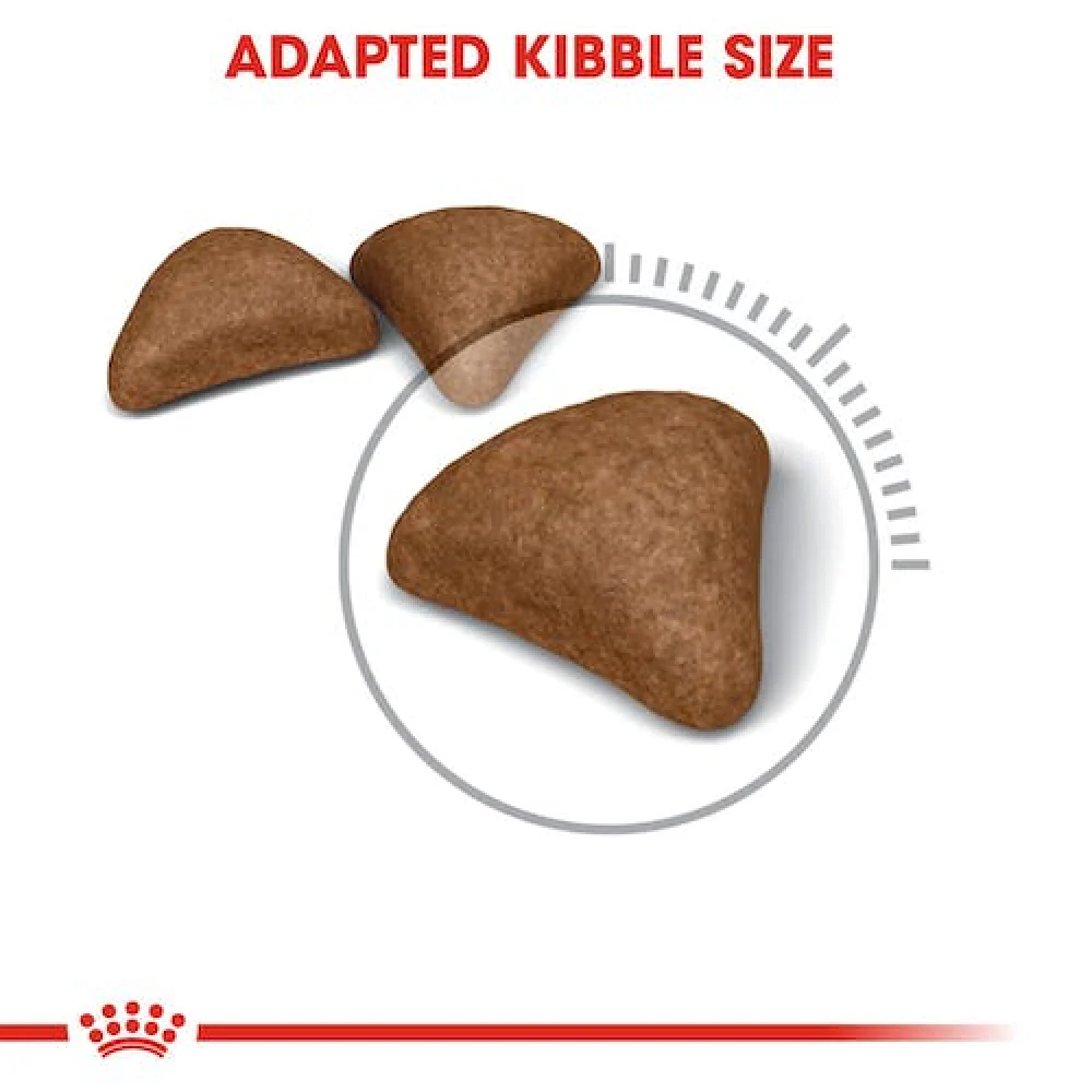 Royal Canin Hair & Skin Care and Hairball Care Adult Cat Dry Food Combo - Image 11