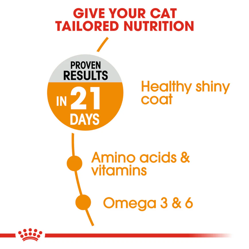 Royal Canin Hair & Skin Care and Hairball Care Adult Cat Dry Food Combo - Image 6