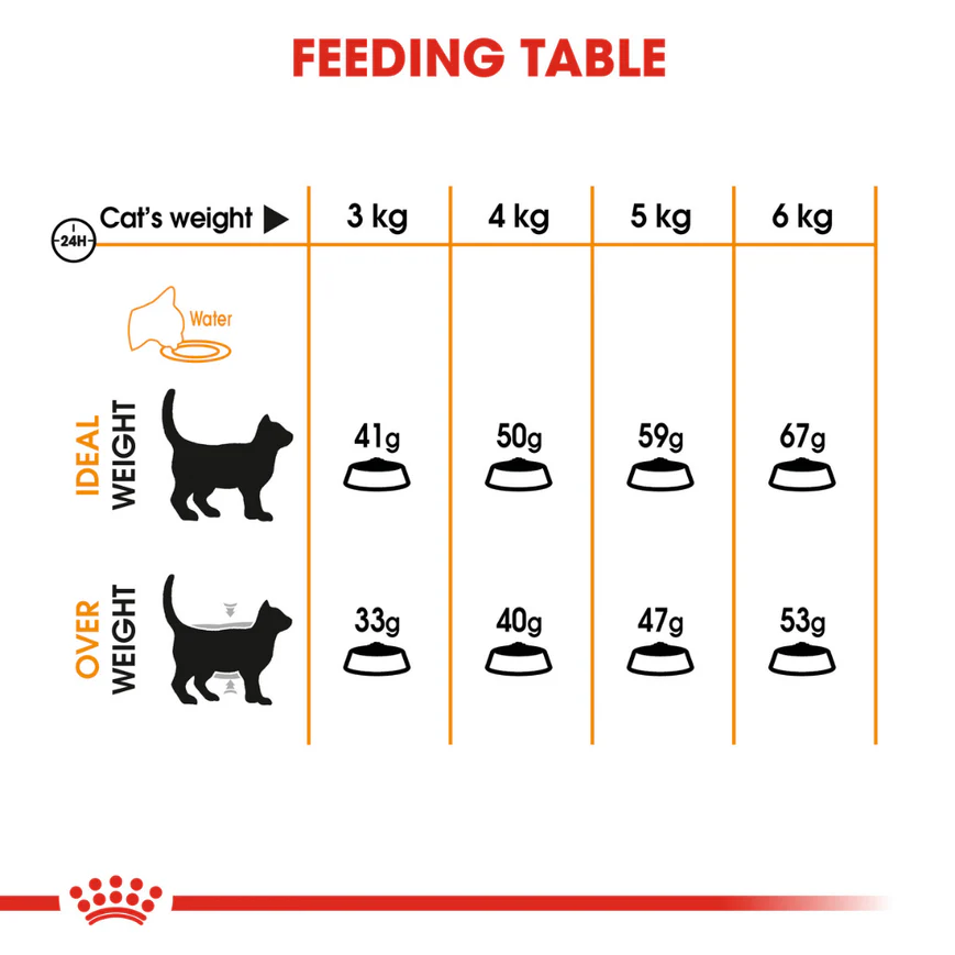 Royal Canin Hair & Skin Care and Persian Adult Cat Dry Food Combo - Image 7