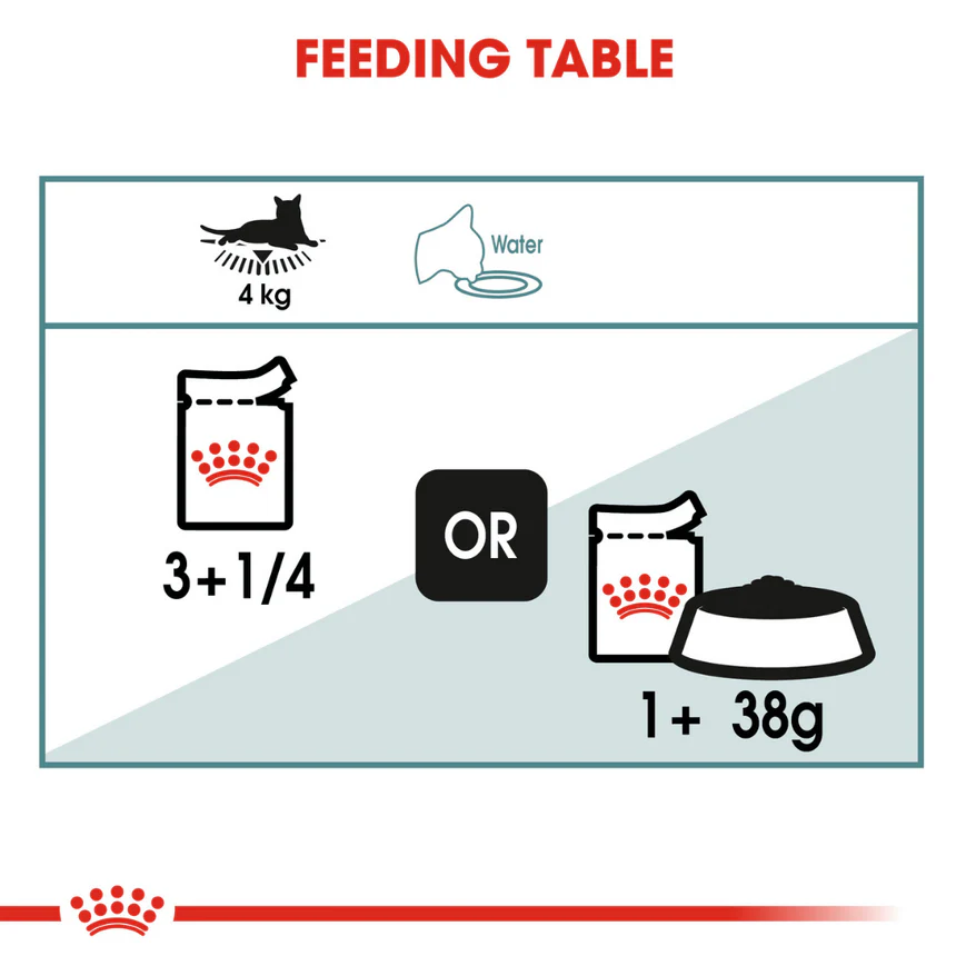 Royal Canin Hairball Care Wet Cat Food (85g Pouch) - Image 6