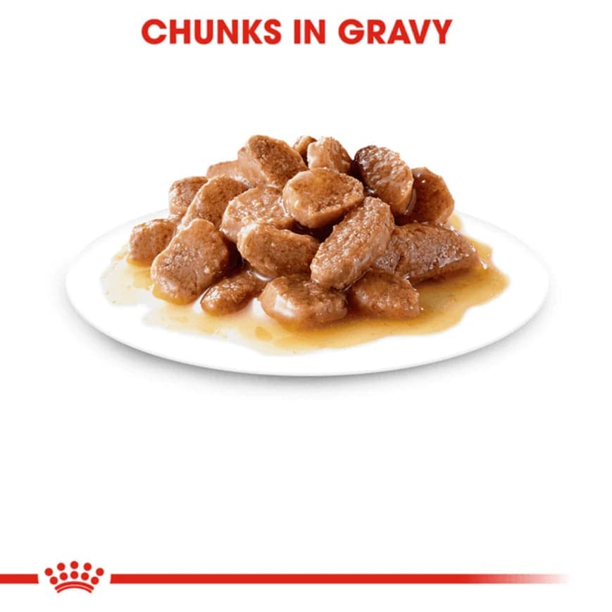 Royal Canin Instinctive 7+ Gravy Cat Wet Food - Image 4