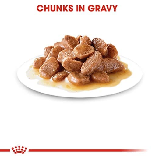 Royal Canin Instinctive and Sterilised/Neutered Gravy Adult Cat Wet Food Combo - Image 12