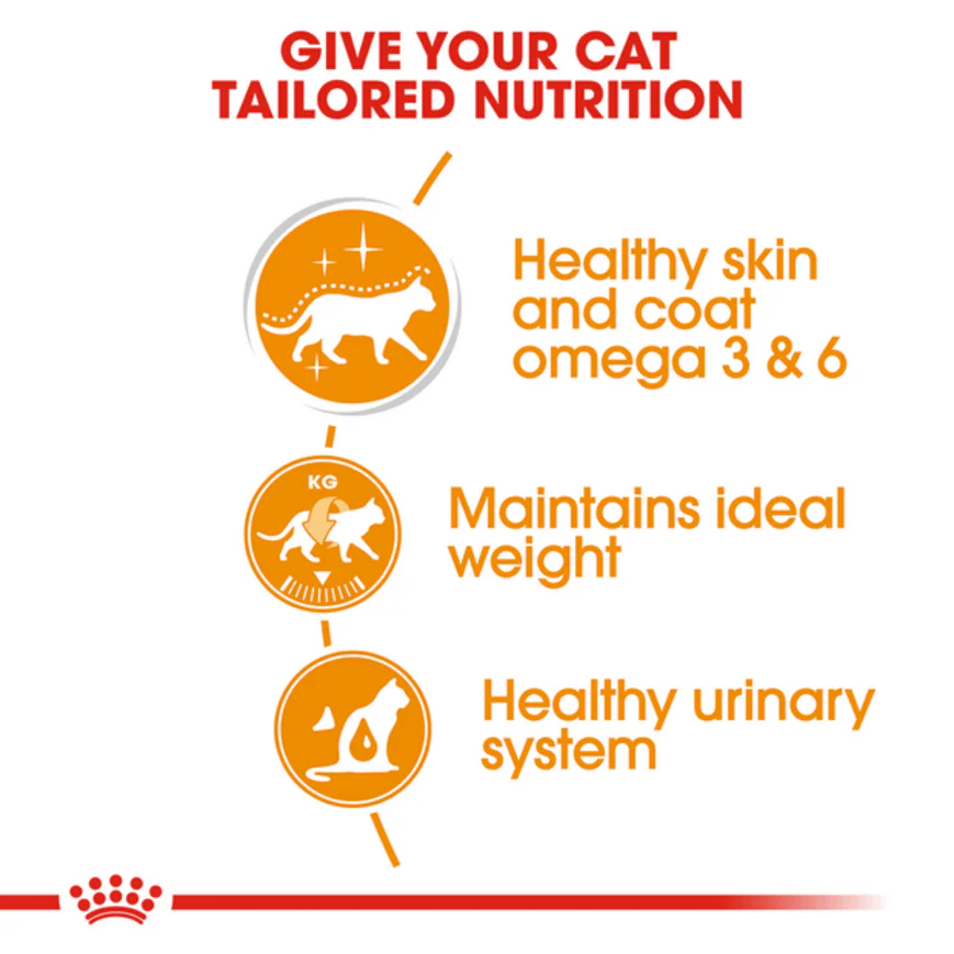 Royal Canin Intense Beauty Adult Gravy Cat Wet Food - Image 3