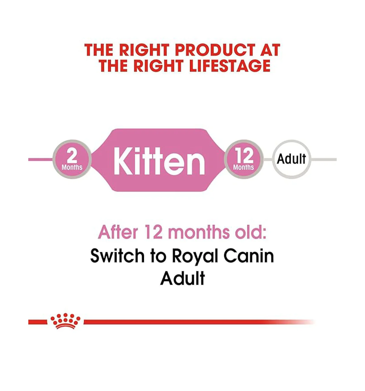 Royal Canin Kitten Wet Food in Gravy (85g Pouch) - Image 5