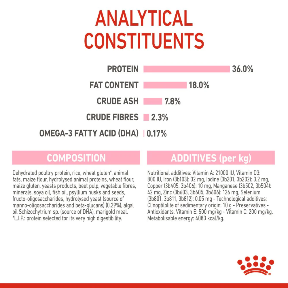Royal Canin Kitten Cat Dry and Wet Food Combo - Image 10