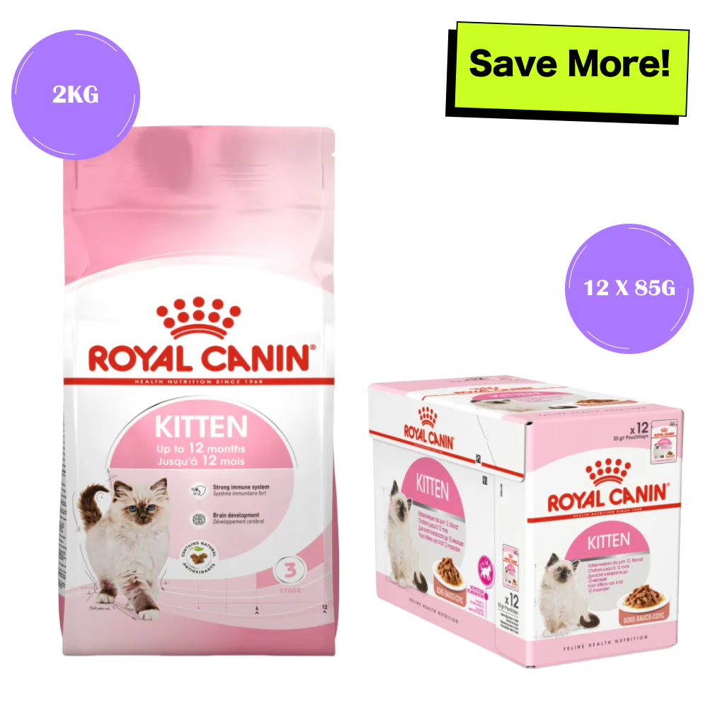 Royal Canin Kitten Cat Dry and Wet Food Combo - Image 15
