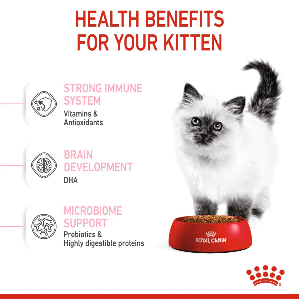 Royal Canin Kitten Cat Dry and Wet Food Combo - Image 5