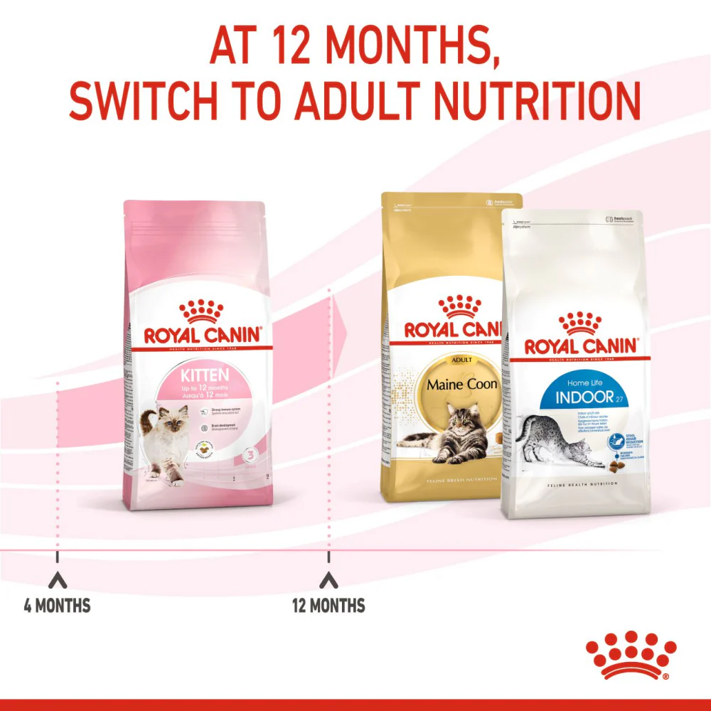 Royal Canin Kitten Cat Dry and Wet Food Combo - Image 9