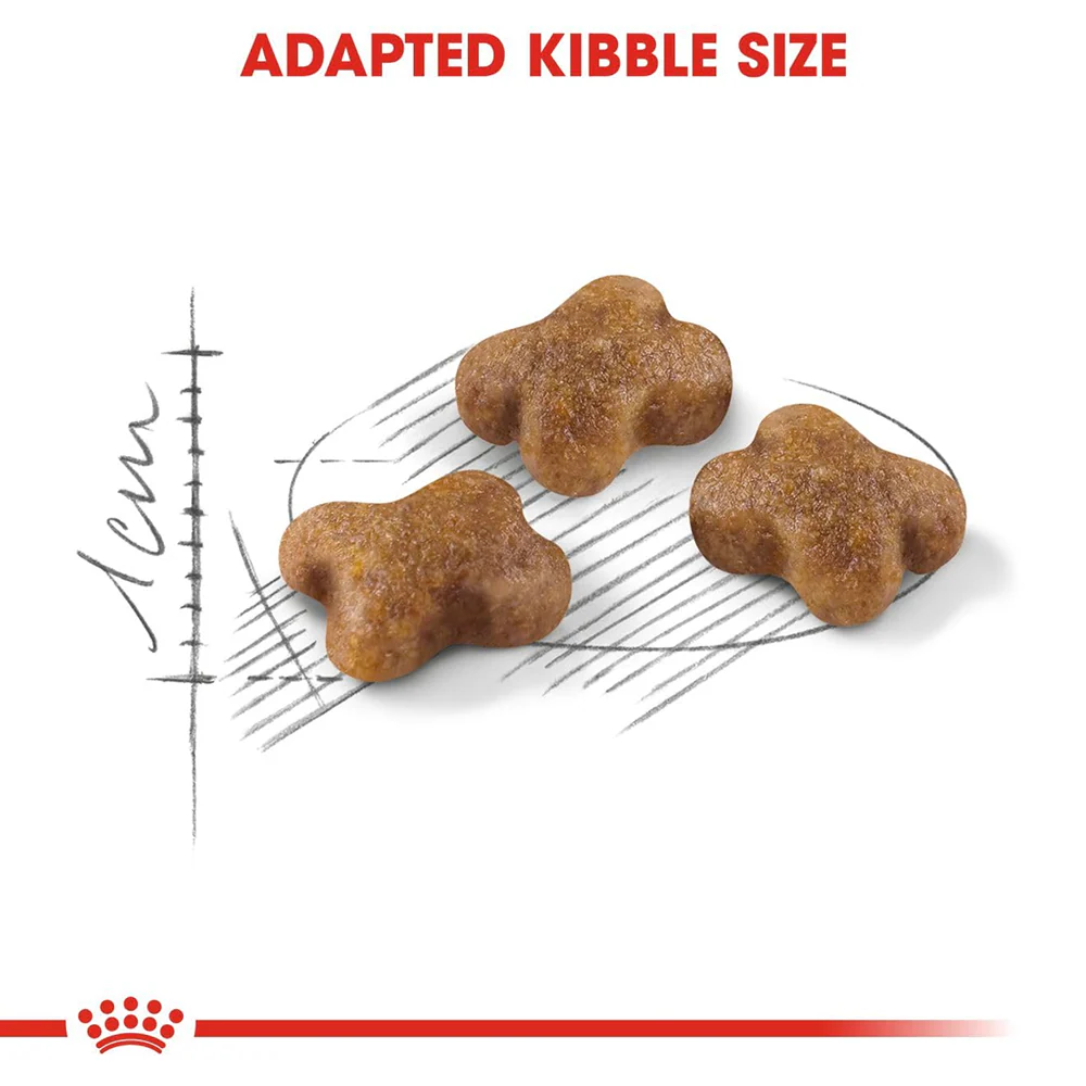 Royal Canin Kitten Cat Dry Food - Image 4