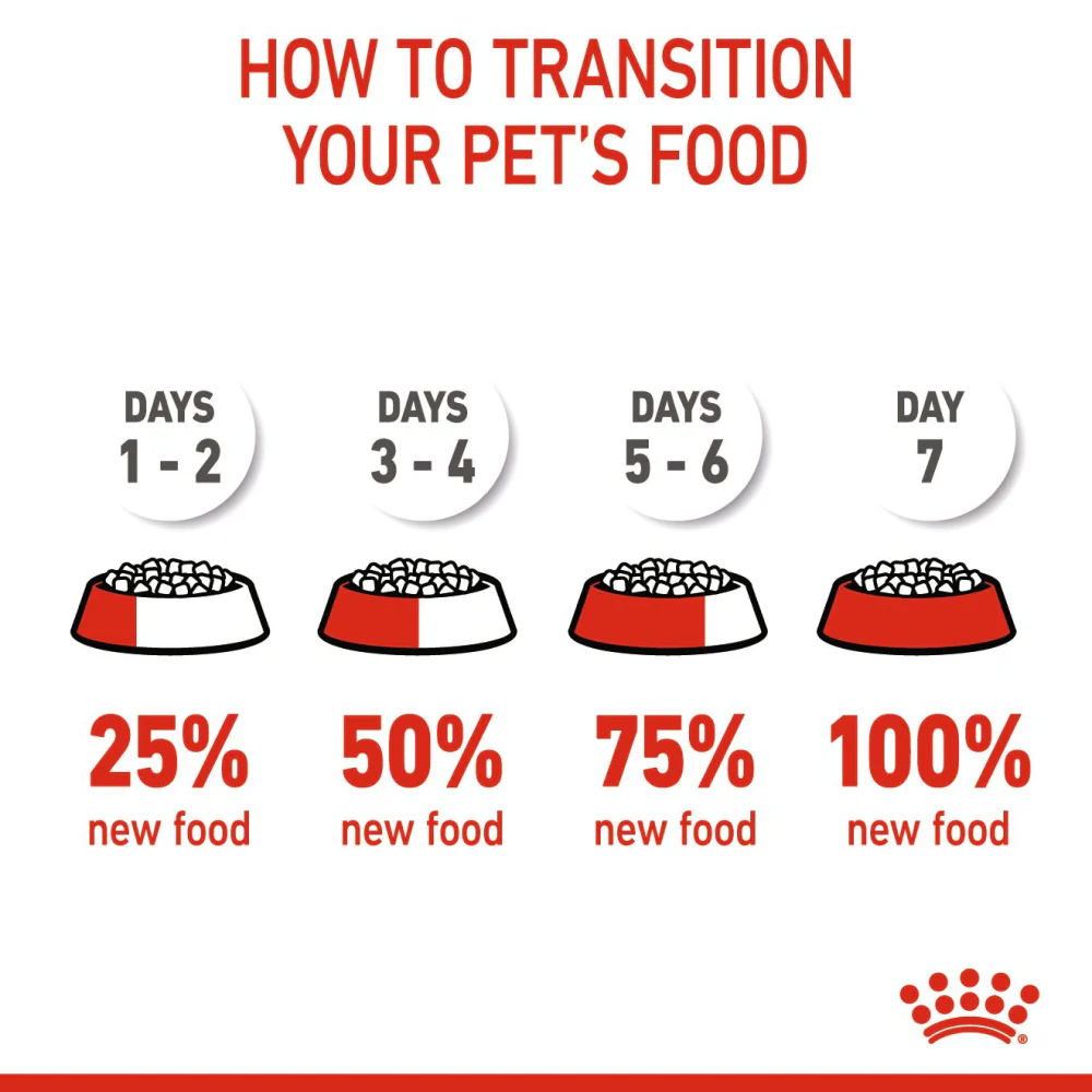 Royal Canin Kitten Cat Dry Food - Image 10