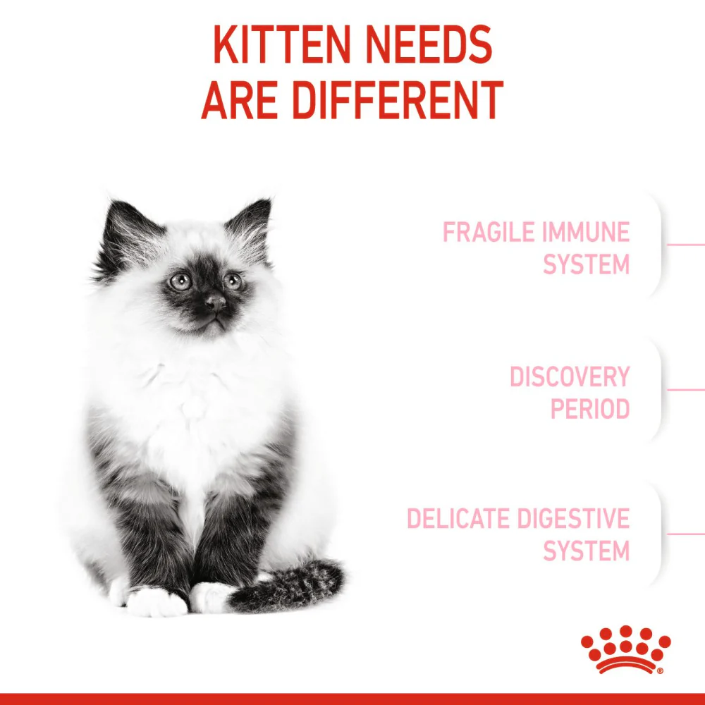 Royal Canin Kitten Cat Dry Food - Image 3
