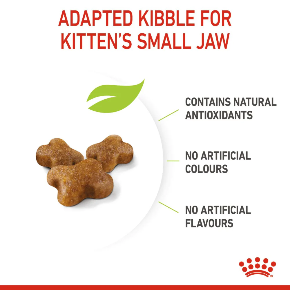 Royal Canin Kitten Cat Dry Food - Image 7