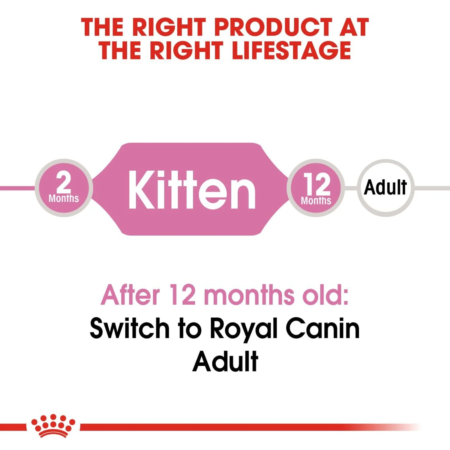 Royal Canin Kitten Dry Cat Food - Image 3