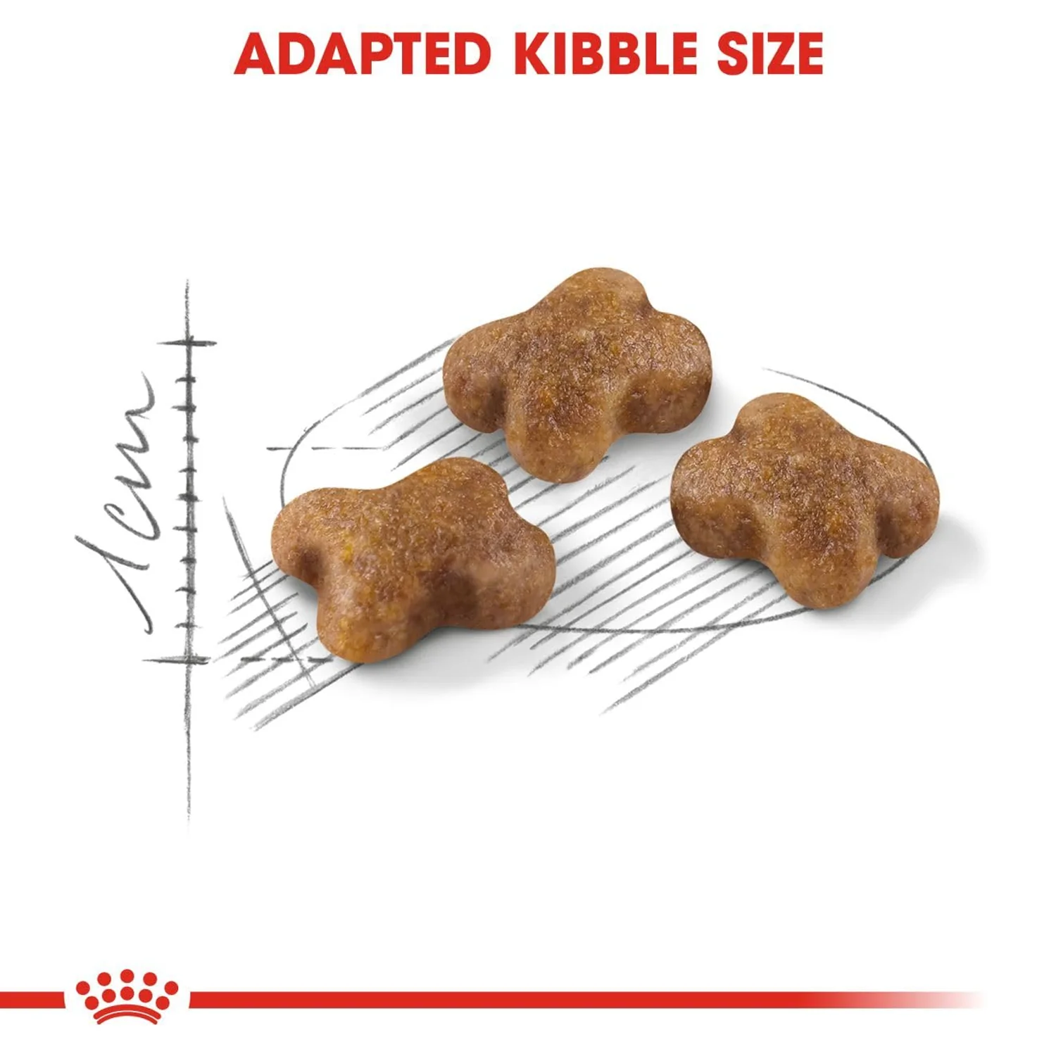 Royal Canin Kitten Dry Cat Food - Image 4