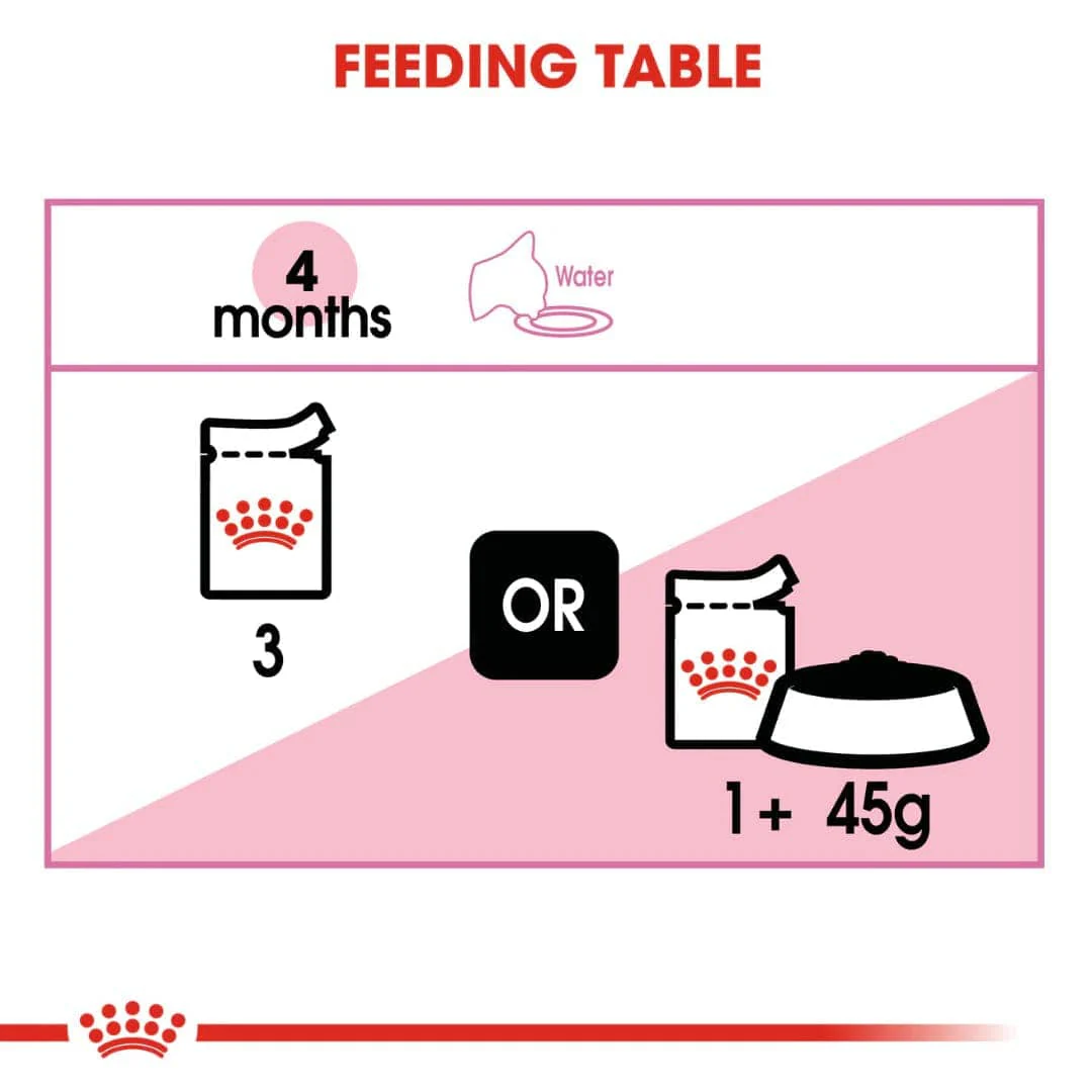 Royal Canin Kitten Jelly and Kitten Loaf Cat Wet Food Combo - Image 5