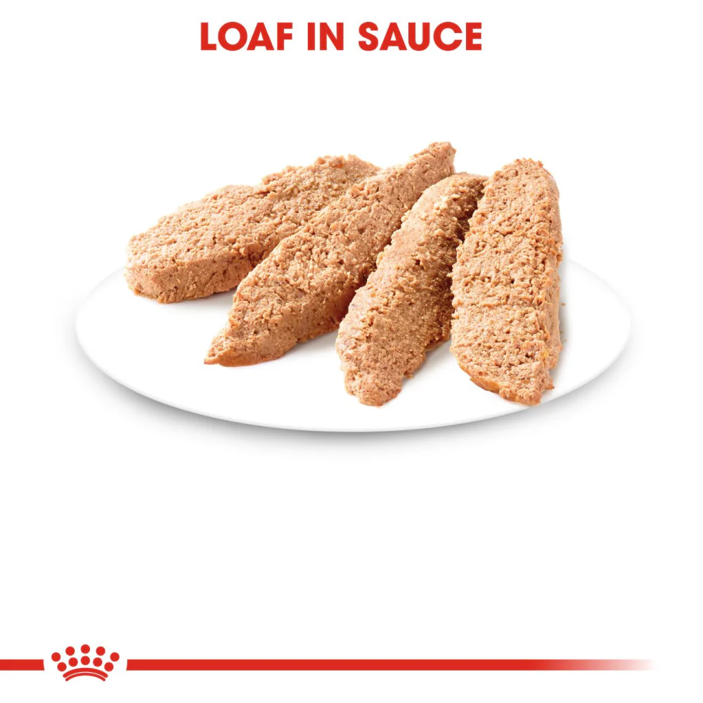 Royal Canin Kitten Jelly and Kitten Loaf Cat Wet Food Combo - Image 19