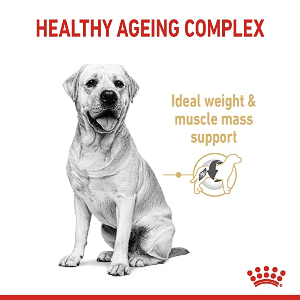 Royal Canin Labrador Adult 5+ Dog Dry Food - Image 3