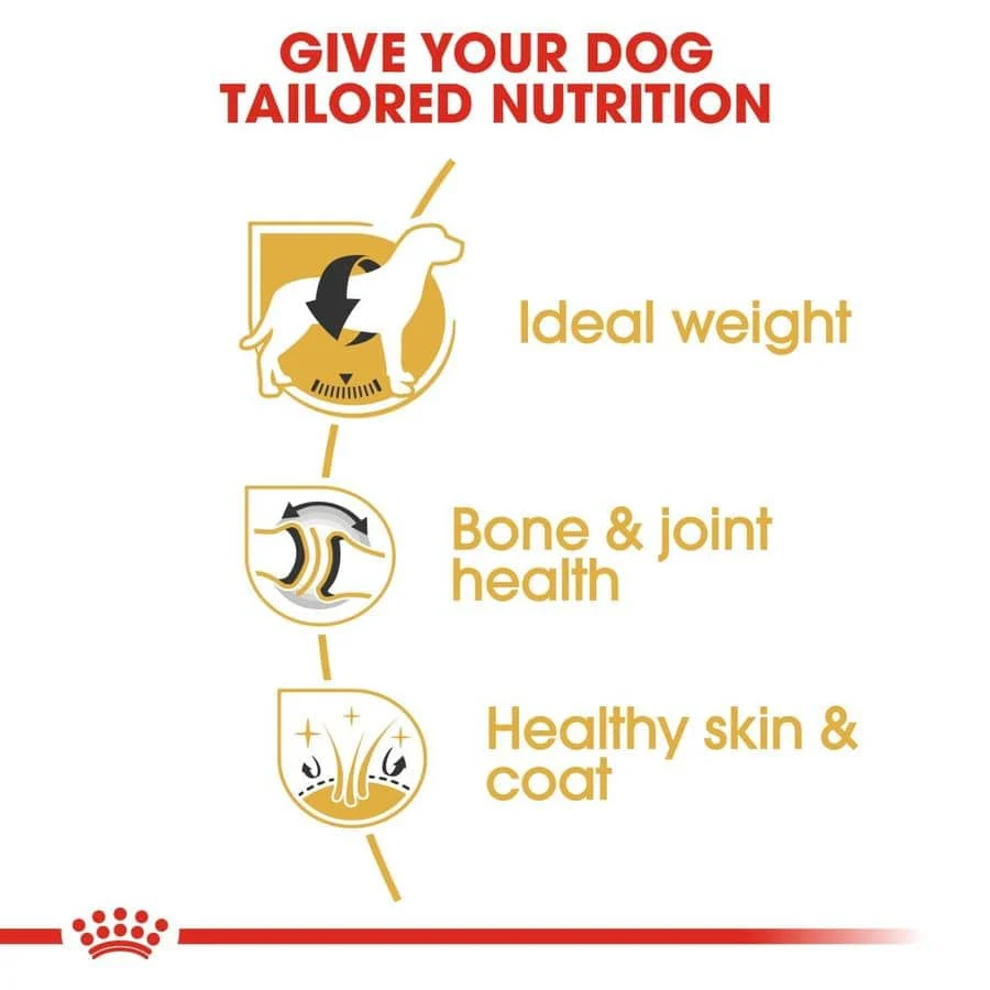 Royal Canin Labrador Retriever Adult Dog Dry Food - Image 4