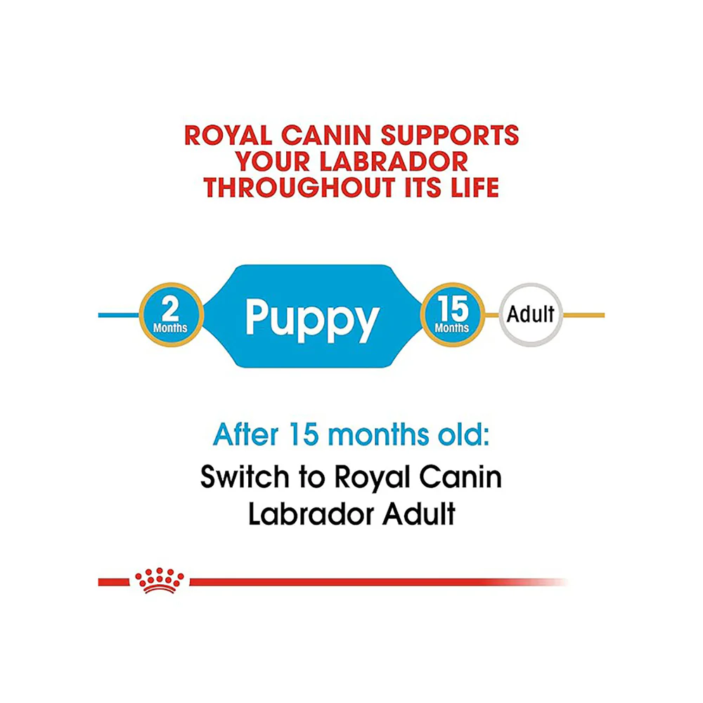 Royal Canin Labrador Retriever Puppy Dog Dry Food - Image 5