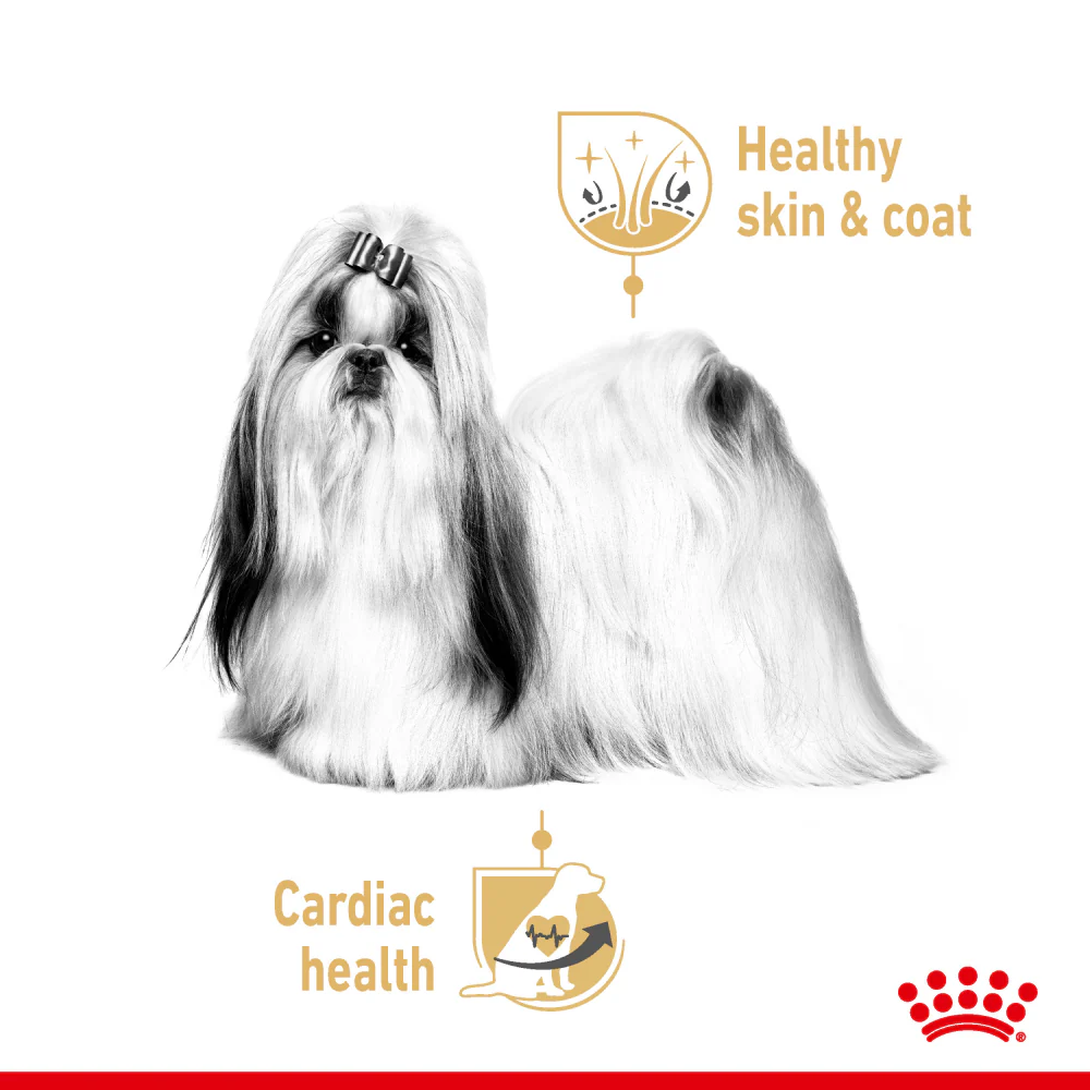 Royal Canin Loaf In Gravy Shih Tzu Adult Dog Wet Food - Image 3