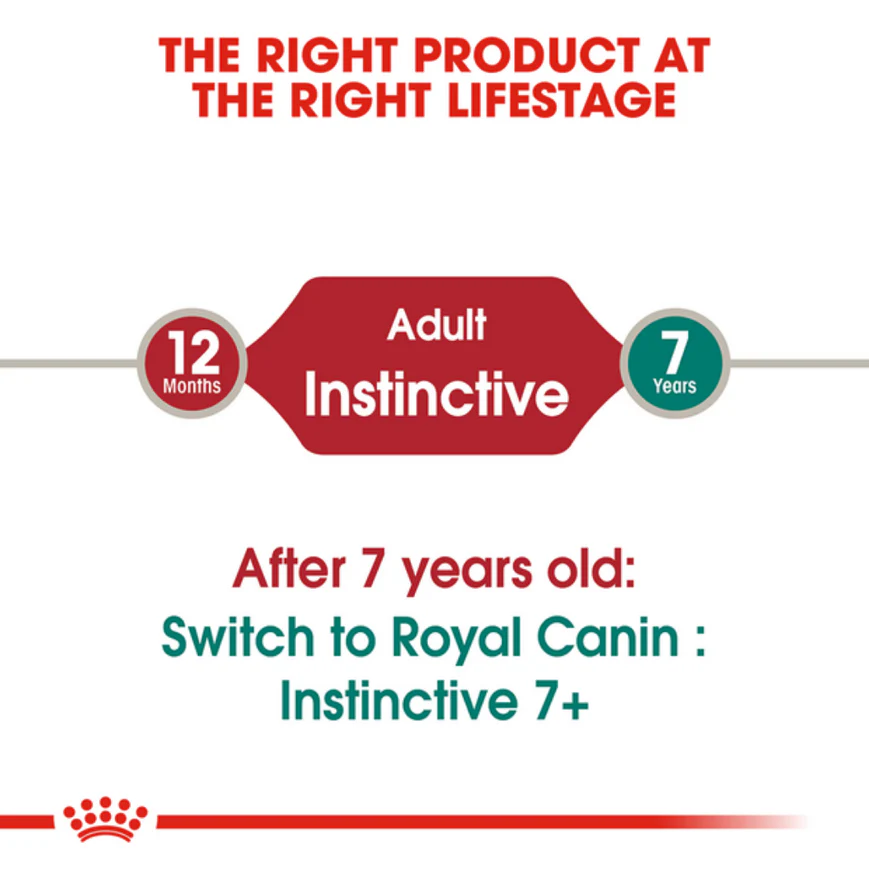 Royal Canin Instinctive Adult Loaf Mousse Cat Wet Food - Image 6