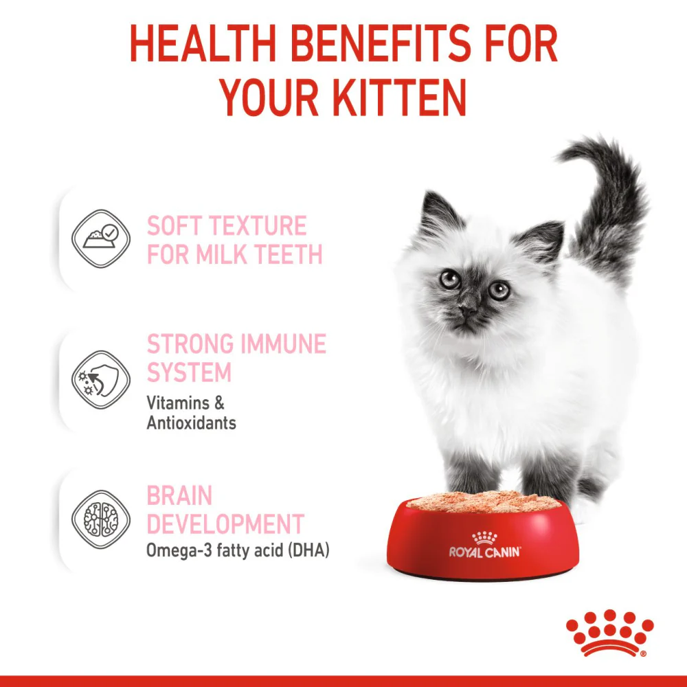 Royal Canin Kitten Loaf Cat Wet Food - Image 2