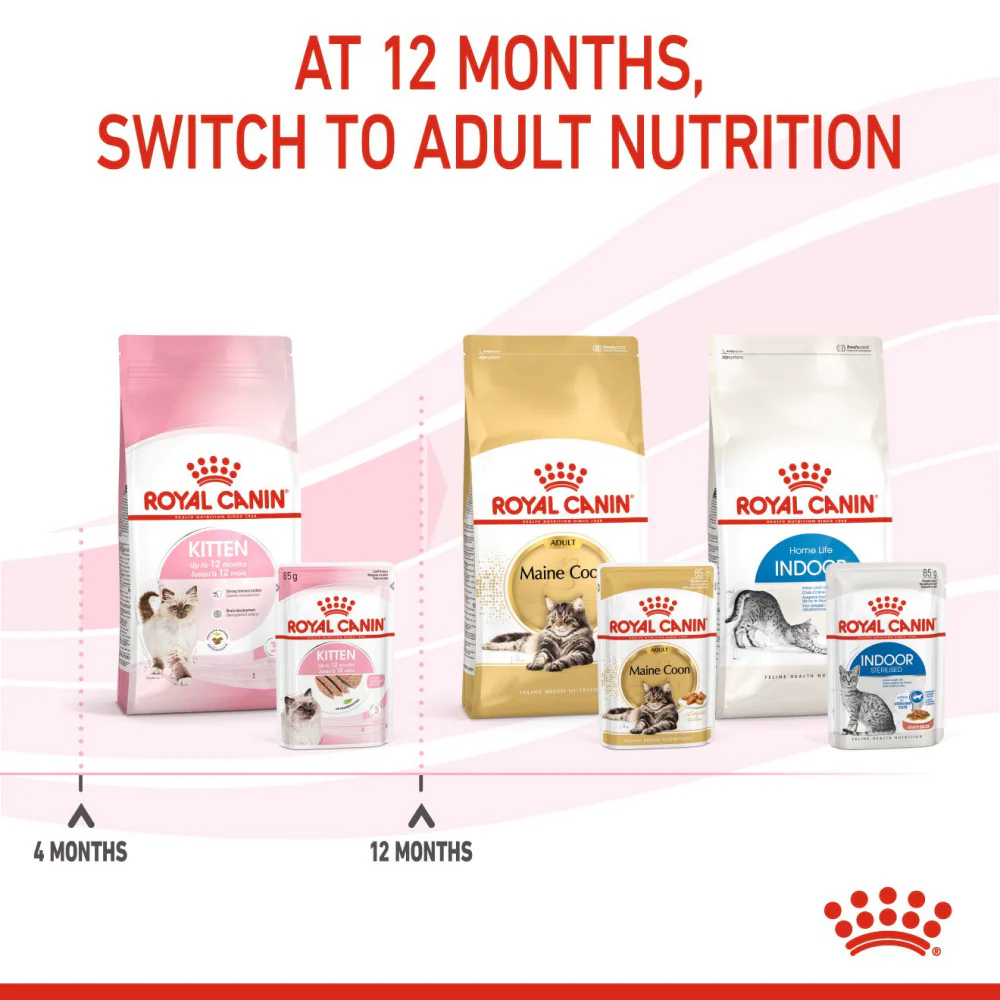 Royal Canin Kitten Loaf Cat Wet Food - Image 6