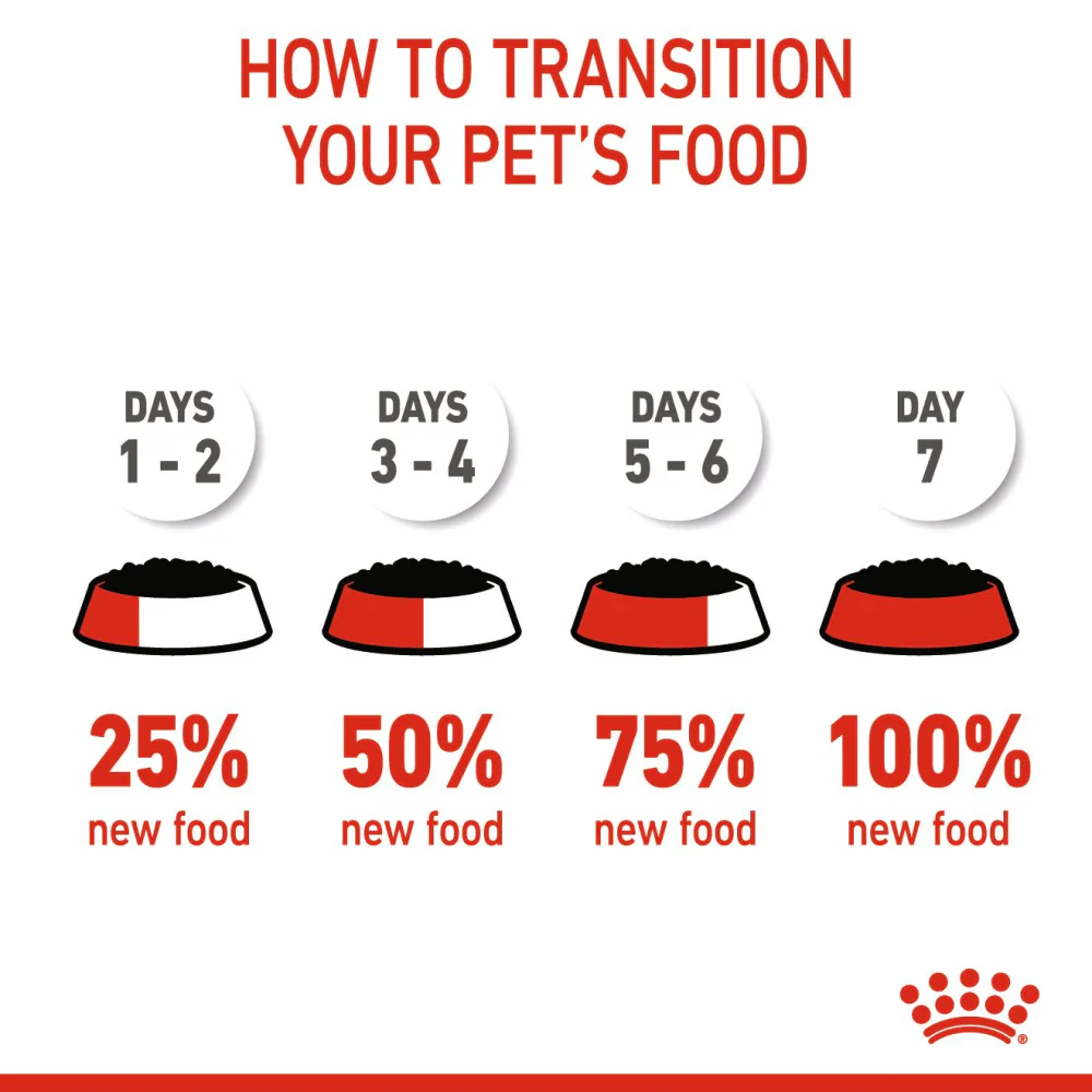 Royal Canin Kitten Loaf Cat Wet Food - Image 8