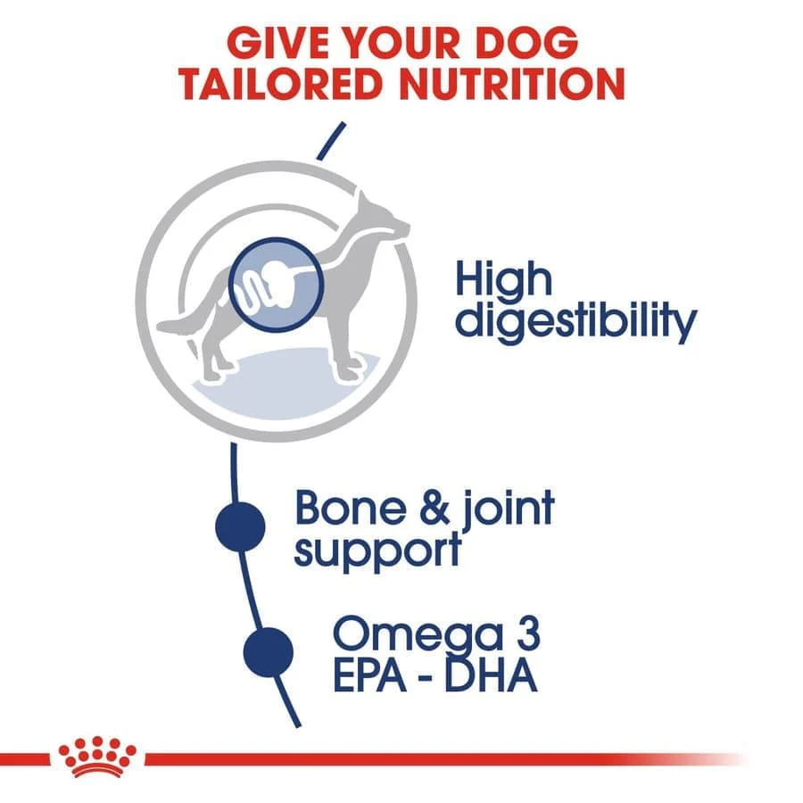 Royal Canin Maxi Adult Dog Wet Food - Image 4