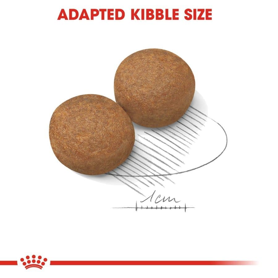 Royal Canin Maxi Adult Dog Dry and Wet Food Combo - Image 4