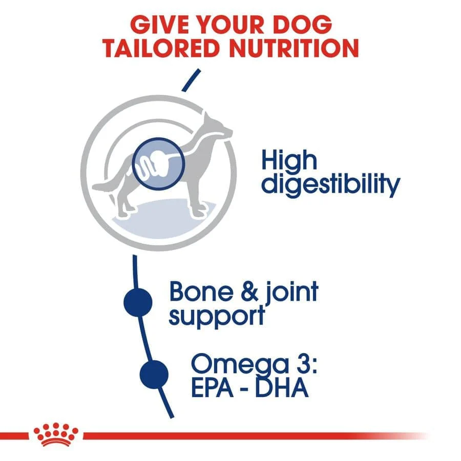 Royal Canin Maxi Adult Dog Dry and Wet Food Combo - Image 5