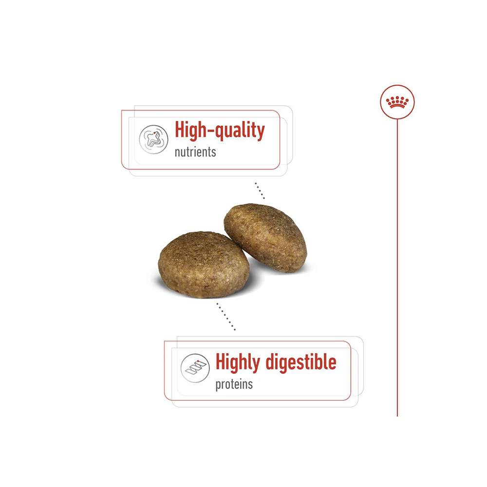 Royal Canin Maxi Adult Dog Dry Food - Image 3