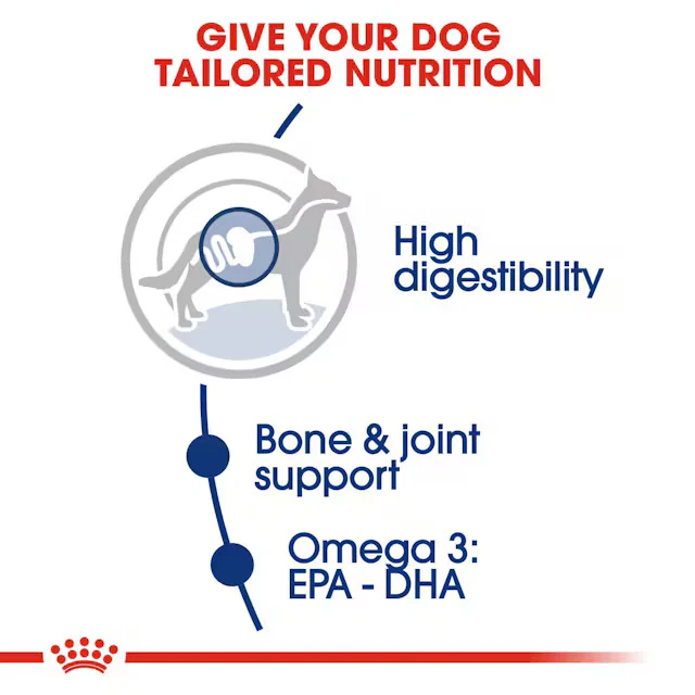 Royal Canin Maxi Adult Dog Dry Food - Image 2