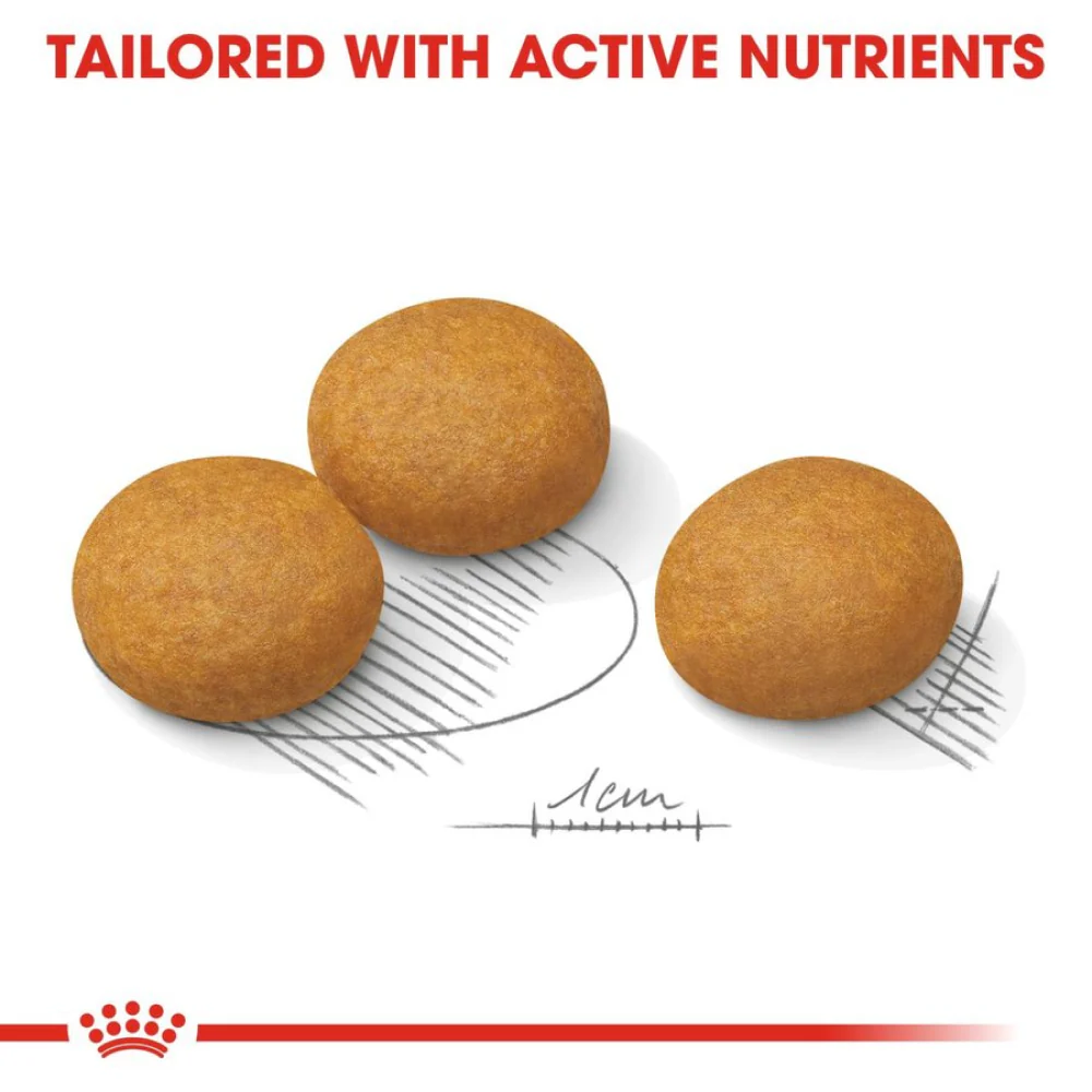 Royal Canin Derma Comfort Maxi Adult Dog Dry Food - Image 3