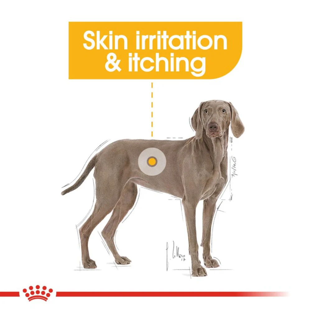 Royal Canin Derma Comfort Maxi Adult Dog Dry Food - Image 7