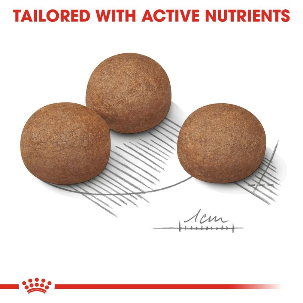 Royal Canin Maxi Digestive Care Dog Dry Food - Image 2