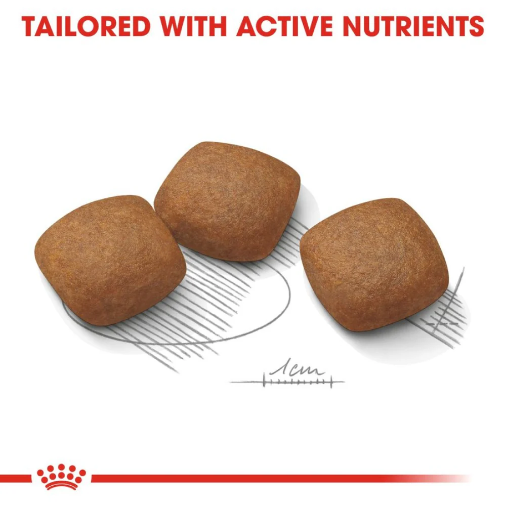 Royal Canin Maxi Jointcare Dog Dry Food - Image 6