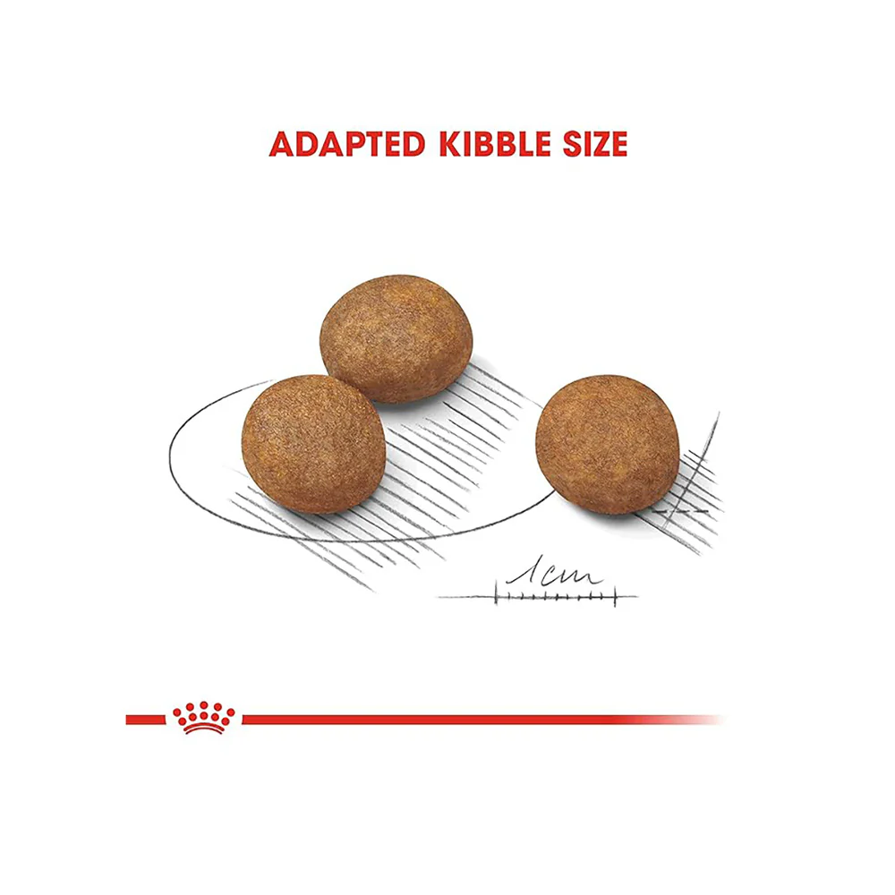 Royal Canin Maxi Puppy Dog Dry Food - Image 4